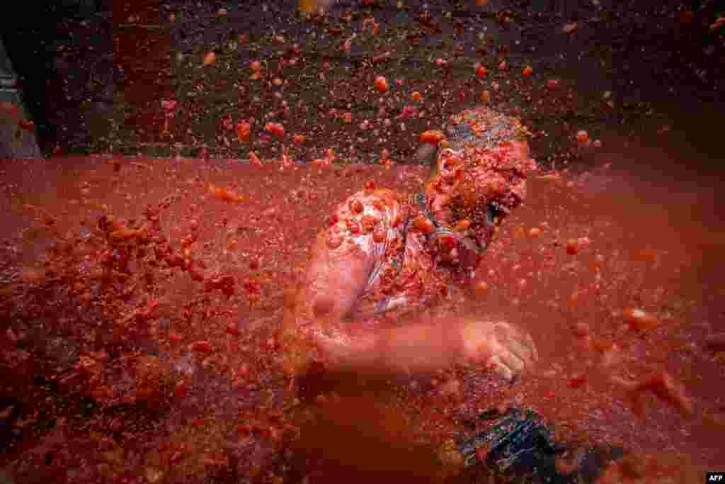 A reveler is pelted with tomato pulp during the annual "tomatina" festivities in the village of Bunol, near Valencia, Spain.