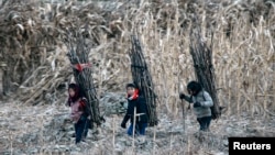 지난해 12월 북한의 접경도시 신의주에서 어린 소녀들이 땔감을 나르고 있다. 압록강 너머 중국 측 단둥에서 촬영한 사진이다.