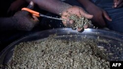 DOUNIAMAG-NIGERIA-DRUGS-RELIGION-HOSPITALS