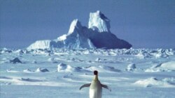 VOA Asia - A chilly place between Australia and China