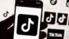 Chinese-Owned TikTok Banned on Canadian Government Mobile Devices 
