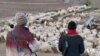Raporta Derheqa Şivanên Afgan li Tirkîyê