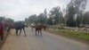 ከተማ ወሊሶ