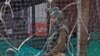 جموں و کشمیر (فائل فوٹو)
