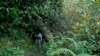Small but mighty efforts are brewing to bring back native forests in India 