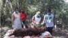 Tim dokter hewan BKSDA Aceh melakukan nekropsi terhadap harimau Sumatra yang ditemukan mati di Aceh Selatan, Senin 29 Juni 2020. (Foto: Courtesy/BKSDA Aceh)
