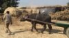Villagers in Uttar Pradesh say they suffered crop losses because of a huge spike in the numbers of stray cows who enter their fields. 