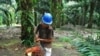 Industri Sawit Was-Was akan Dampak Ketegangan Indonesia-Malaysia