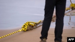 An employee helps lay an undersea fiber-optic cable at Arrietara beach in Spain, June 13, 2017. U.S. officials reportedly are seeking to block an undersea cable between Los Angeles and Hong Kong on national security grounds.