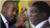 Ngizimisele Ukuxoxisana loMnangagwa, Kodwa Hatshi Ngokubumba Uhulumende Wenkazatho, Kutsho uChamisa