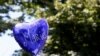 Italians Mourn Death of Police Officer