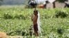 Heat Wave Prompts Warnings in India